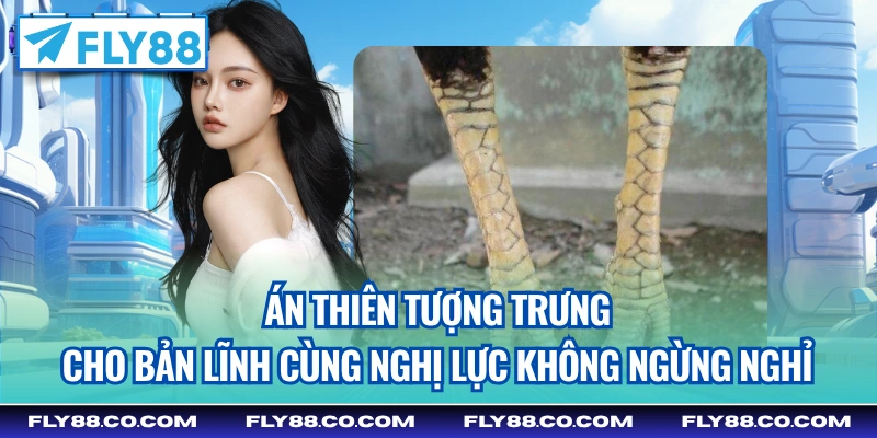 Án Thiên tượng trưng cho bản lĩnh cùng nghị lực không ngừng nghỉ